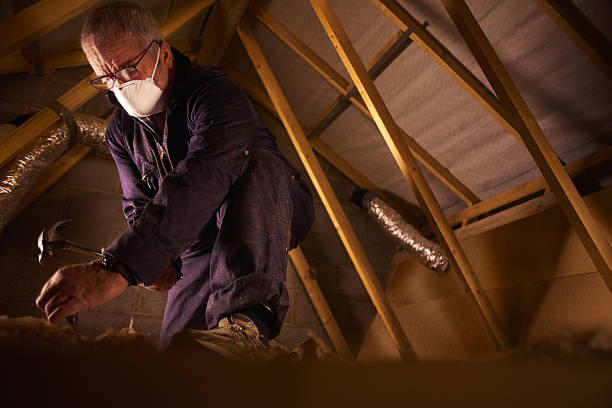 Best Spray Foam Insulation  in Walled Lake, MI